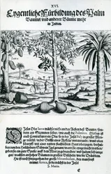 Landschaft, Illustration aus 